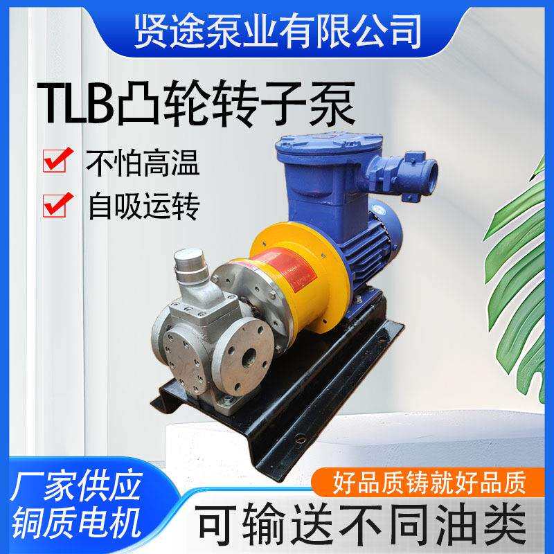 YCB不锈钢圆弧磁力齿轮泵化工磁力泵电动磁力齿轮油泵厂家
