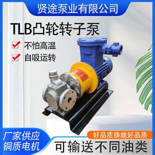 YCB不锈钢圆弧磁力齿轮泵化工磁力泵电动磁力齿轮油泵厂家