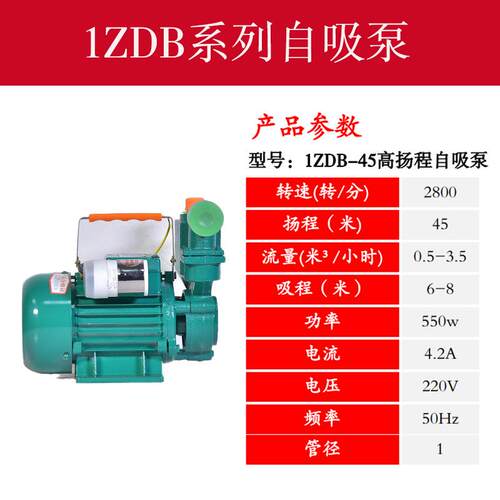 1DB35高扬程吸水泵1ZZMEM自B4D5家用增压水泵家用井水抽水机
