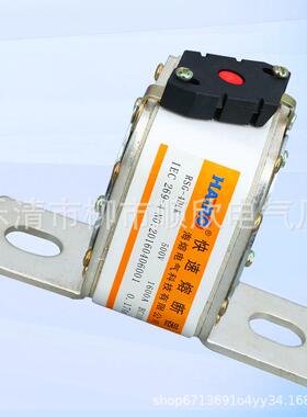 RSG-4DLK低压方管L形螺栓连接式快速熔断器 平板式熔断体