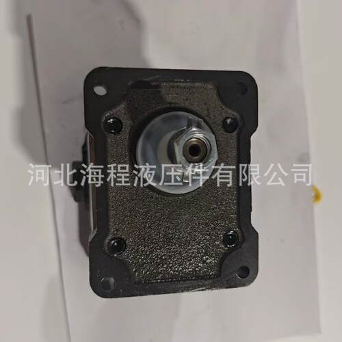 5167405 液压泵 适用凯斯 纽荷兰 福特 菲亚特拖拉机