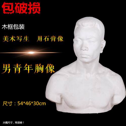 勃兰特男青年胸像石膏像头像美术用品艺考素描用品摆饰品写生教具