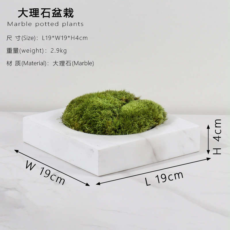 大理石方形盆栽轻花盆软工艺品花盆奢北欧天然肉绿多植装家庭园艺