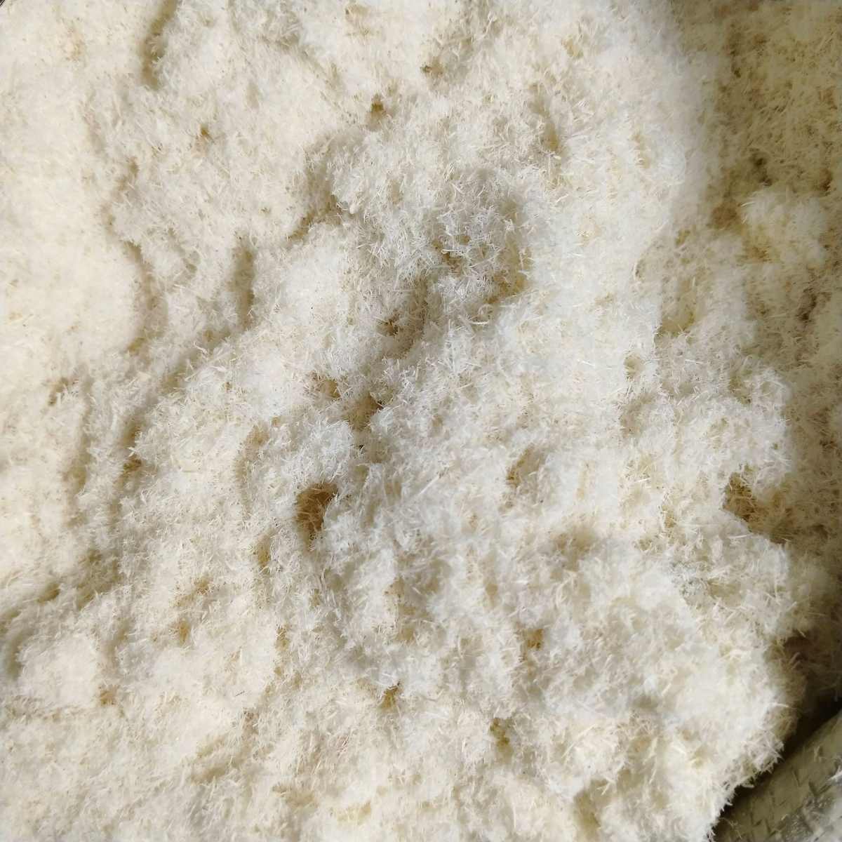 纯白现货 香木屑漂白助用制虑木粉造纸用木粉油田中粗剂木粉厂家