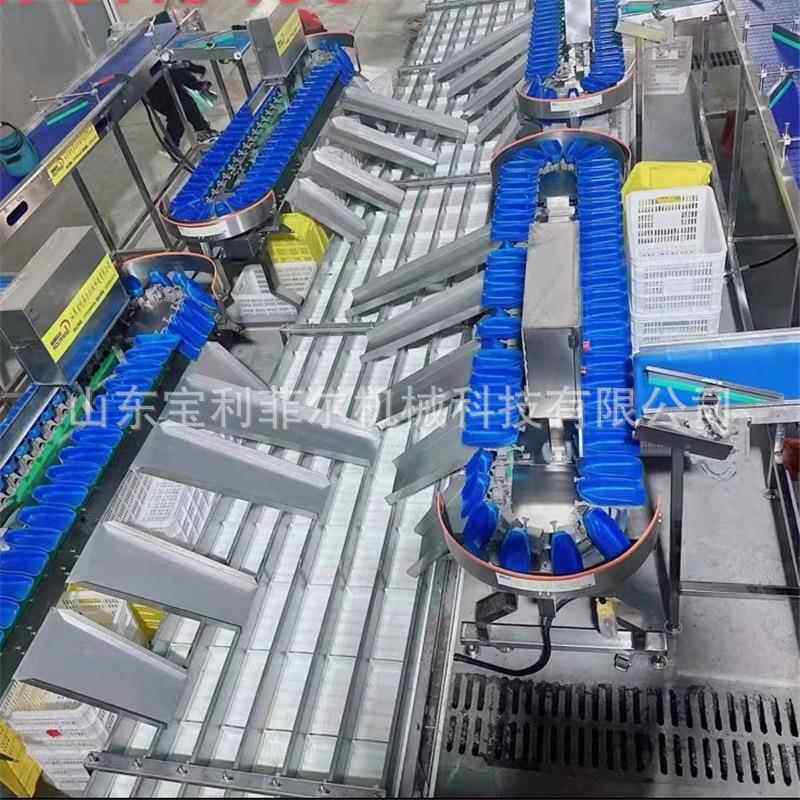 重量分检机 全自动不锈钢牛油果干货坚果肉类虾转盘式 称重分选秤