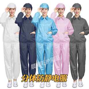 防静电分体服无尘车间工作服防护洁净服长袖 上衣男女同款 防尘套装