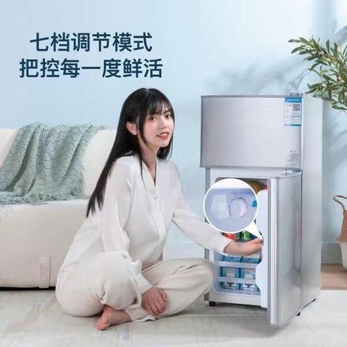 小冰箱家用宿舍单门冷藏双门冷冻冷藏节能运损冰箱压缩机制冷其它