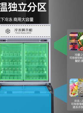 立式组合冰柜饮料淇冰淋组合柜立体式207冷藏冷冻一雪糕展示生鲜