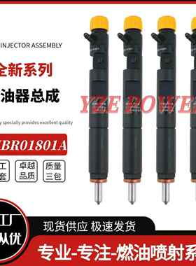 EJBR01801A喷油器总成8200365186优质EJBR01801Z