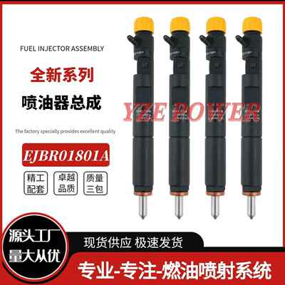 EJBR01801A喷油器总成 8200365186优质货源EJBR01801Z