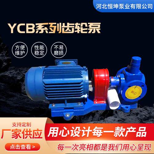 供应ycb圆弧齿轮泵油泵高压力泵铸铁电动卧式圆弧泵小型齿轮泵