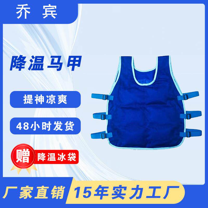 夏季新款降温马甲冰袋高温工地防护用品制冷衣服避暑透气工装冰感