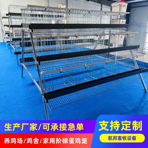 养殖场用三层四门蛋鸡笼设备热镀锌蛋鸡笼阶梯双边蛋鸡笼养殖厂
