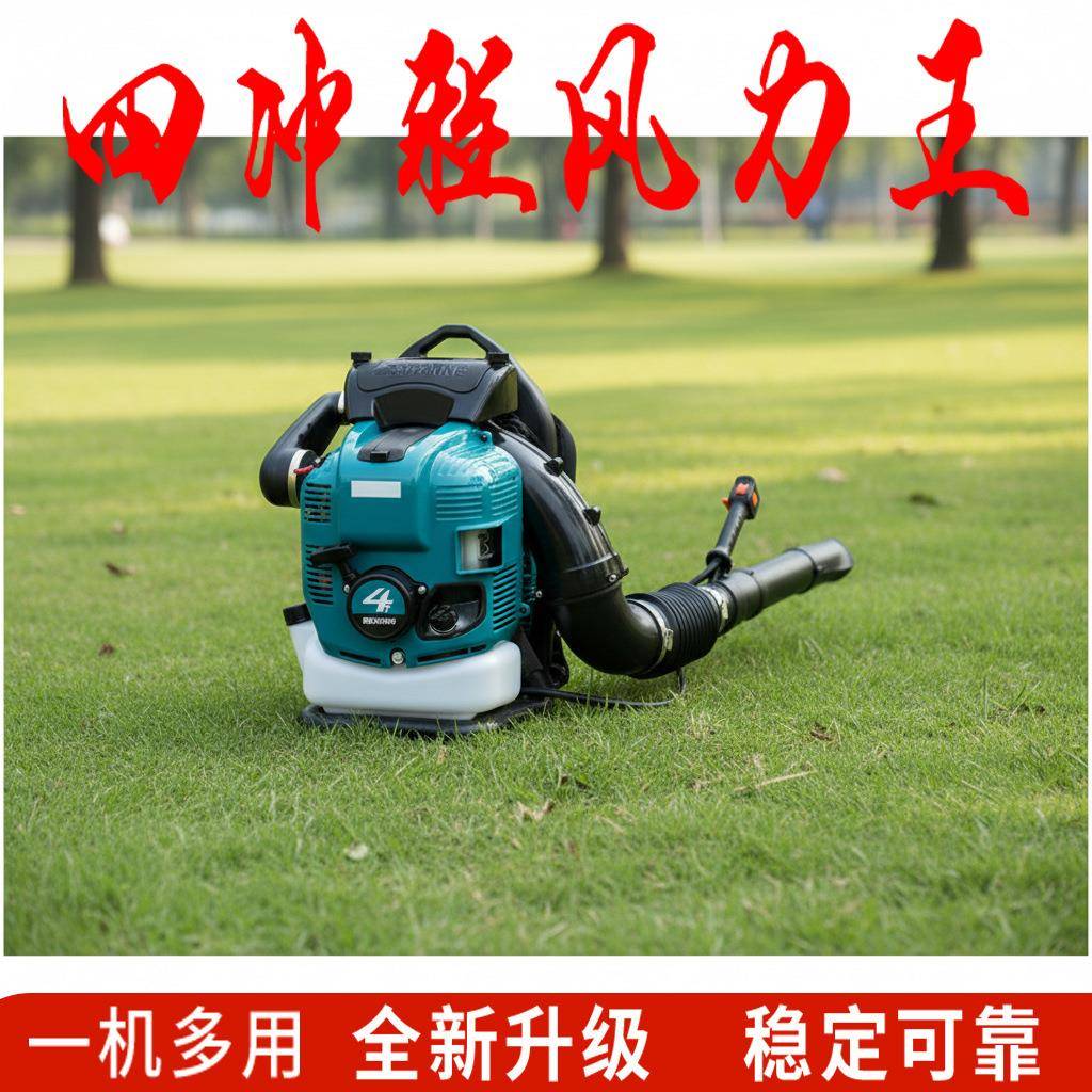 可背负式森林灭火设备 兼用吹雪清沙吹水机 大风力电机园林多用