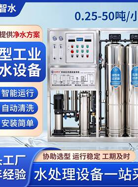 全自动大型反渗透设备井水净化除杂地下水去离子软水设备出水直饮