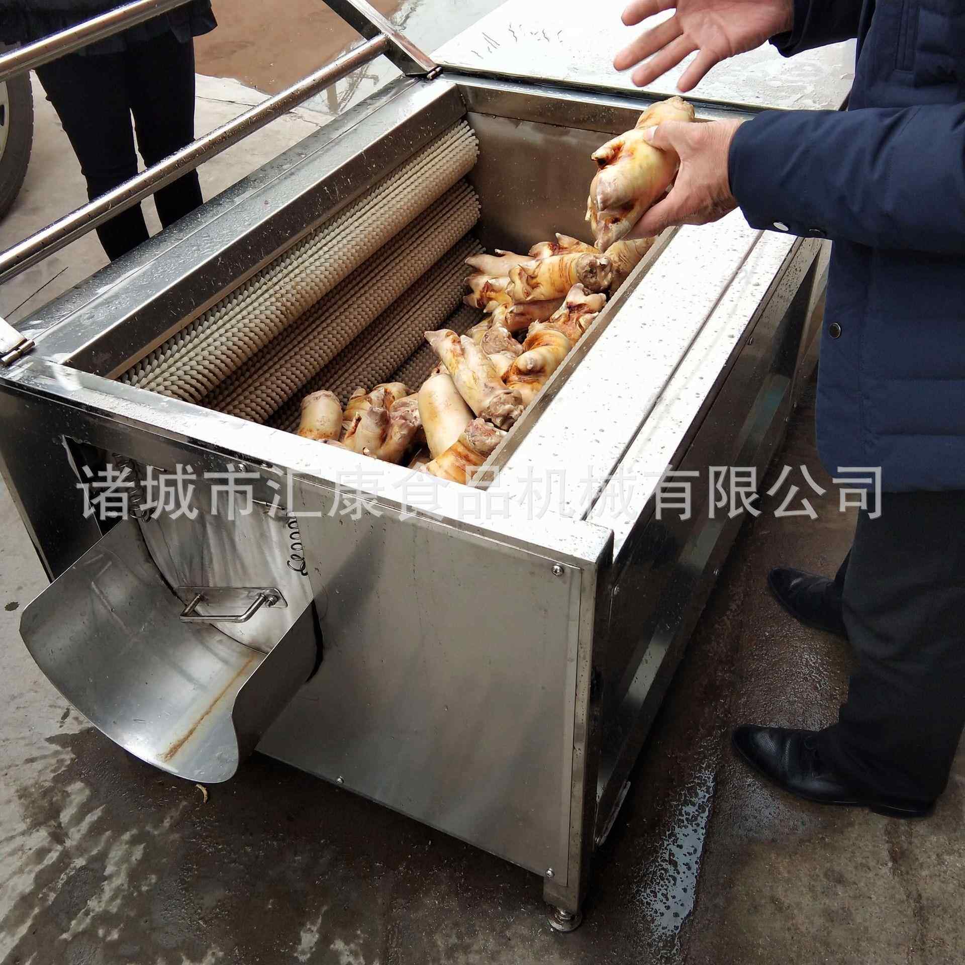 汇康毛辊清洗机胡萝卜红薯尼龙辊抛光清洗机烧羊蹄毛刷除污机