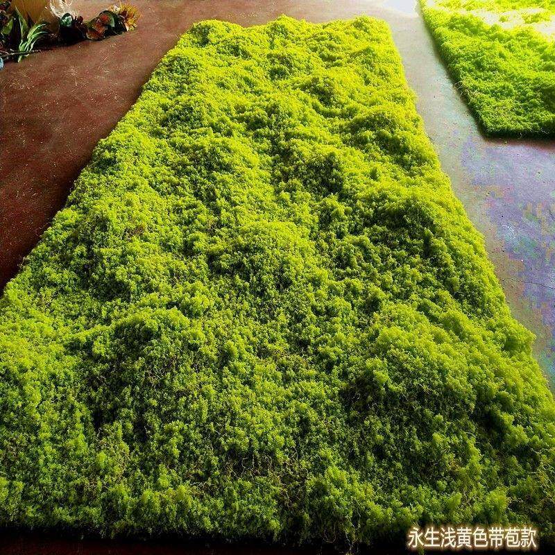 青苔地毯彷真草皮草坪苔藓商场墙贴花墙植物墙盆景盆栽假苔藓橱窗