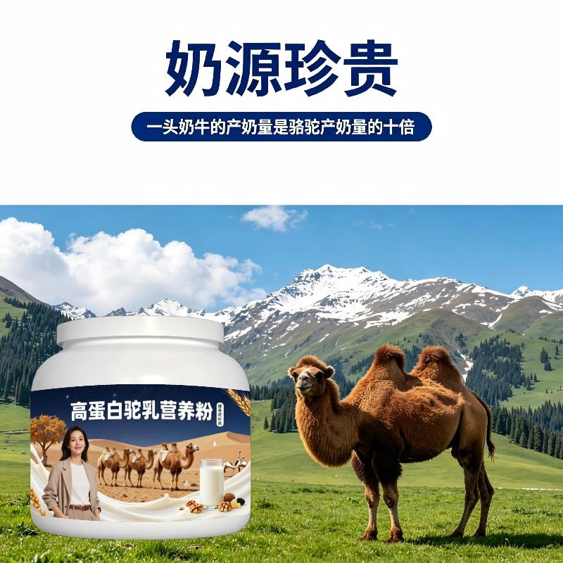 健身高蛋白驼乳粉日常早餐均衡营养驼奶粉散养官方品牌纯正