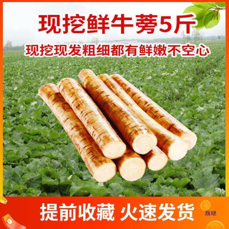 【包邮】现挖牛蒡1-5斤装徐州天地根产品直销生鲜