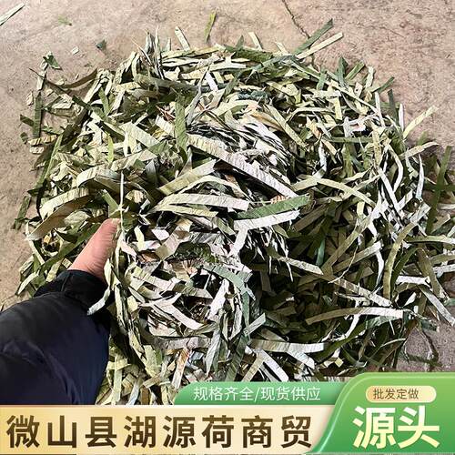 荷叶茶1000克微山中药材批货供量大从优代用茶花茶泡水轻体