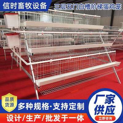 A型阶梯蛋鸡笼三层五门阶梯蛋鸡笼冷镀锌鸡舍家用养殖场源头厂家