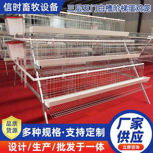 A型阶梯蛋鸡笼三层五门阶梯蛋鸡笼冷镀锌鸡舍家用养殖场源头厂家