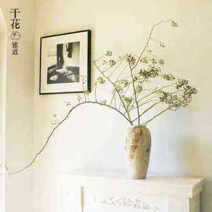 山归来植物鲜切枝天然卧室客厅装饰高级宿舍餐厅桌面摄影婚房干枝