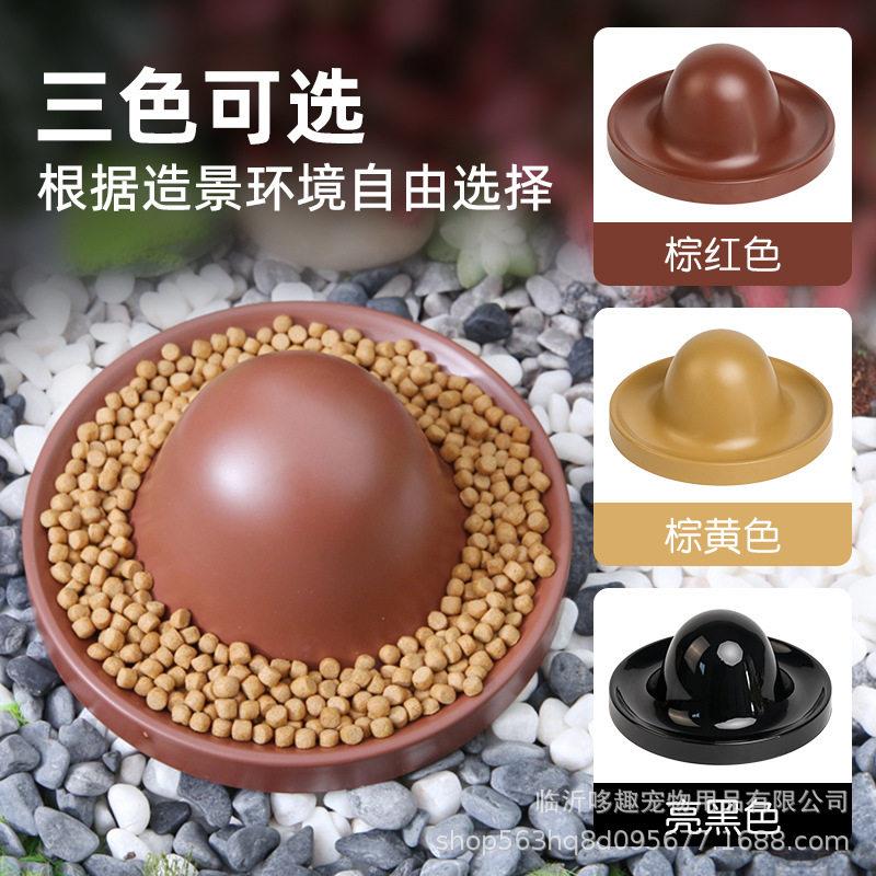 乌龟喂食盘黄缘龟食盆水盆乌龟喂食盘半水龟安缘龟箱龟锯缘喂食龟