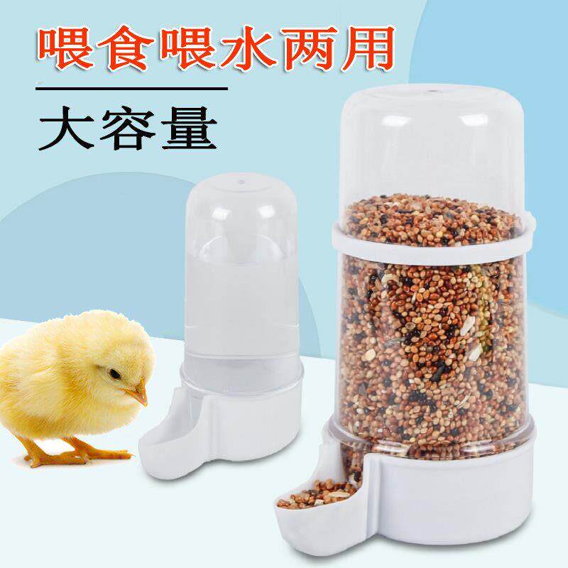 小鸡饲料喂食器自动喂水饮水器绣眼鸡鸭桂花号蓝胸芦丁雀青自助鹌