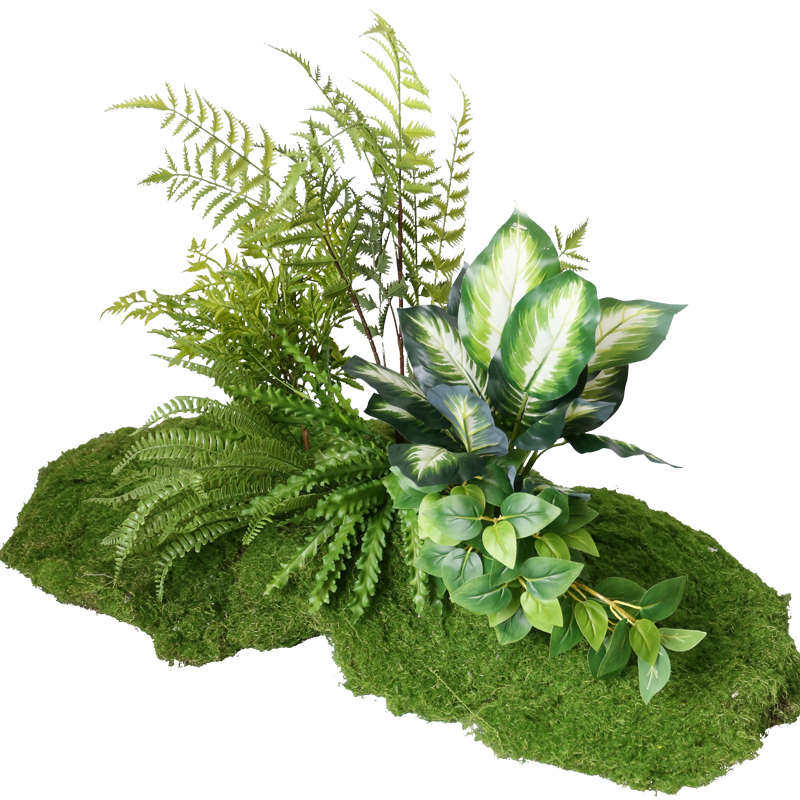 仿真苔藓微景观室内客厅假植物绿植造景组合橱窗仿生青苔装饰布景,鲜花速递/花卉仿真/绿植园艺,仿真绿植,淘宝优惠券,粉丝福利购,淘宝优惠卷
