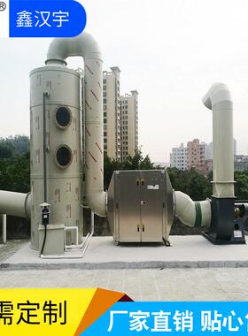 定制效除臭PP喷淋塔净化塔酸雾废气处理酸洗塔洗塔PP喷淋塔