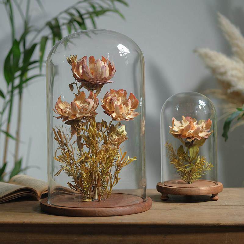 植物RWD干房花花艺摆件本家居创意花瓶软装样板间书橱窗标展示台