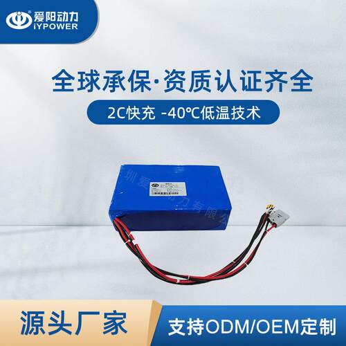 AGV机器人锂电池医疗防疫机器人专用带CAN/485自动充电48V20Ah