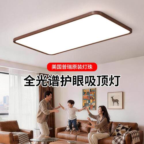 中古风灯吸顶灯灯ed客厅主l大灯餐厅灯简QS-XDD-2约现房间具大全