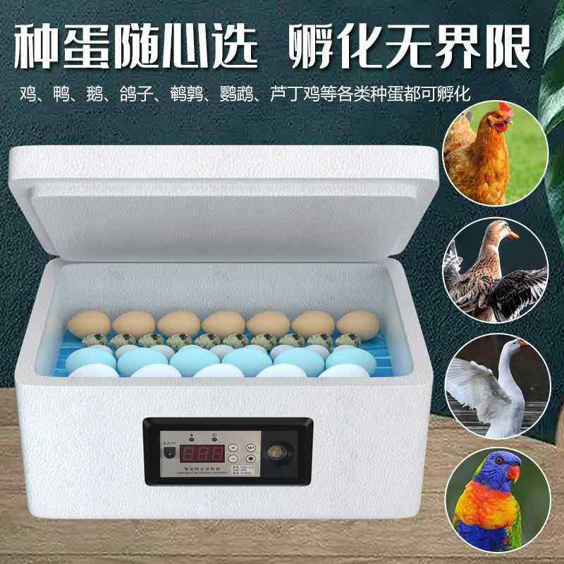新伟达孵化器全自动小型家用水床孵化机鸡鸭鹅鸽子孔雀孵化机
