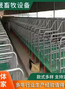 落地式母猪限位栏全复合双体产床产保一体两用床床智能畜牧机械