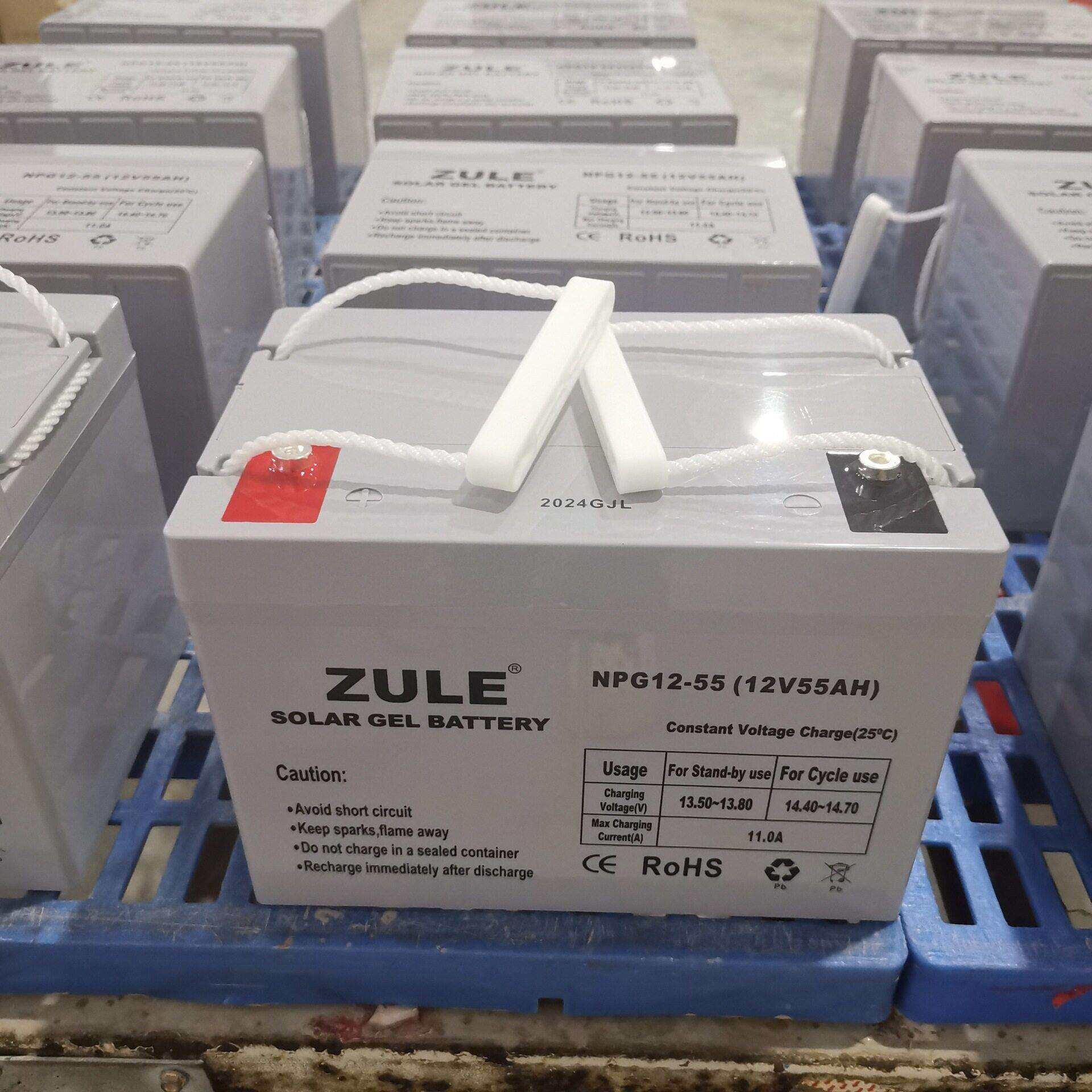 ZULE牌12V55AH胶体电池光伏储能用蓄电池免维护可充电solar cell