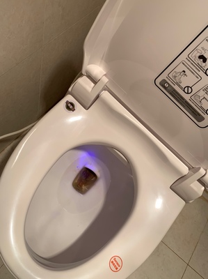 日本宫野智能马桶盖怎么样？用后一周彻底后悔了是吗？