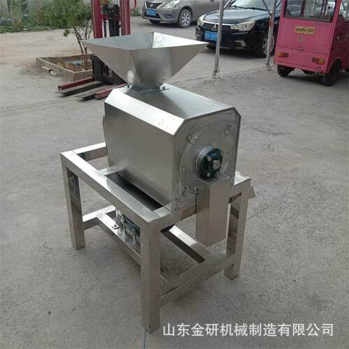 大型工业双道果蔬打浆机 水果蔬菜打颗粒丁机 桂圆荔枝去核脱汁机