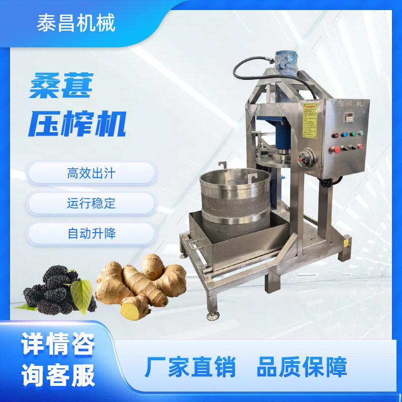 商用桑葚果汁压榨机大型桑椹子饮料技工设备全自动桑葚汁压汁机器