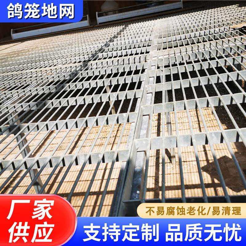 厂家供应热镀锌鸽笼地网漏粪网格格栅养铁丝网小片网防腐
