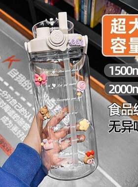 新品食品级超大容量耐高温双饮带吸管塑料水杯户外旅行提手便携运