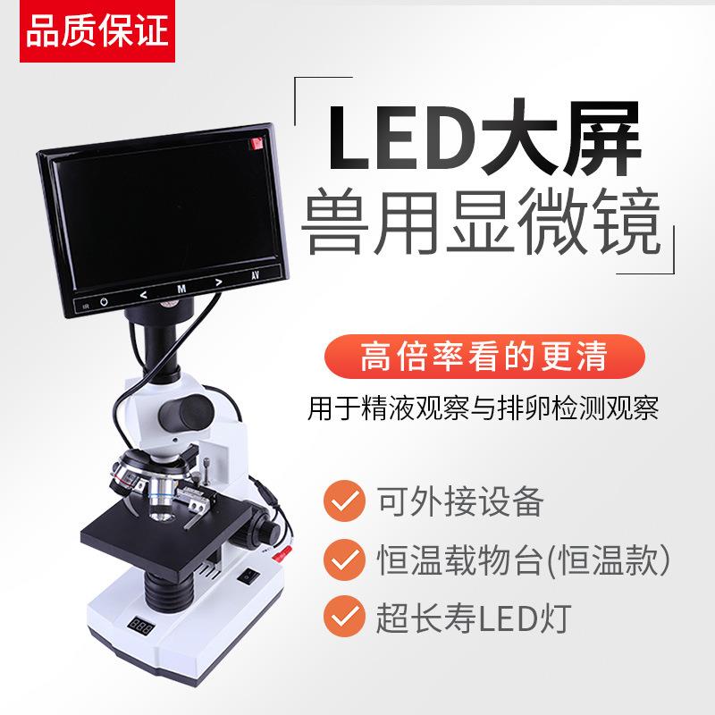 猪用人工授精恒温显微镜兽用带显示屏猪精液采精用显微镜畜牧设备