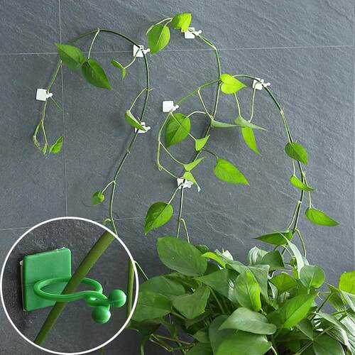 Traceless Adhesive Hooks Green Ivy Wall Climber Fixator Plan