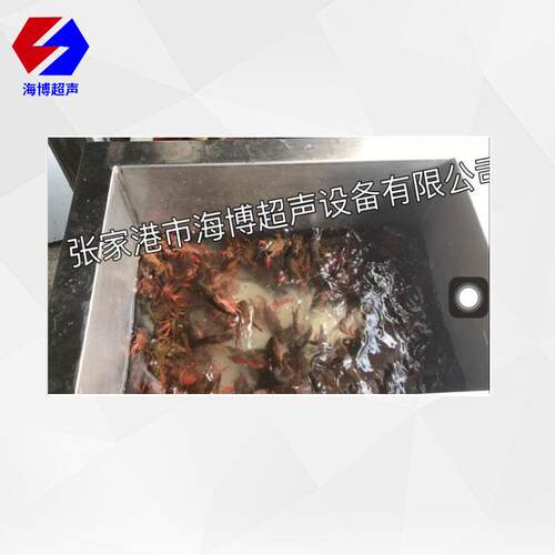 江苏苏州张家港自动水产品超声波气泡小龙虾清洗机，海鲜贝壳超声