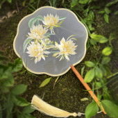 刺绣团扇古风扇子古风团扇子舞蹈扇古典舞扇子双面绣团扇舞蹈专用