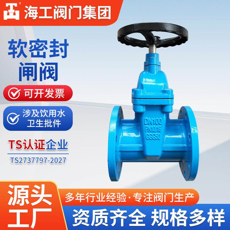 软密封闸阀Z45X-16Q球墨铸铁法兰弹性座暗杆海工阀门集团法兰闸阀
