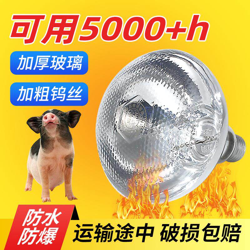 保温灯养殖场专用一百瓦芦丁鸡育雏仔猪保暖烤灯猪场取暖加热设备
