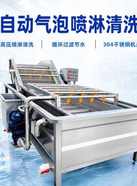 全自动气泡喷淋清洗机适用红枣辣椒毛豆等效清洁适配多种果蔬