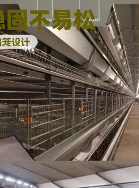 结构稳定多层鸡笼不易松动养殖笼自动化蛋鸡养殖机械养鸡笼